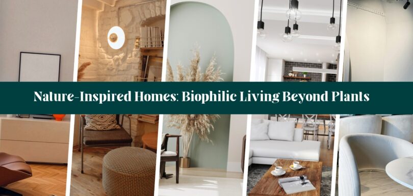 Nature Inspired Homes Biophilic Living Beyond Plants